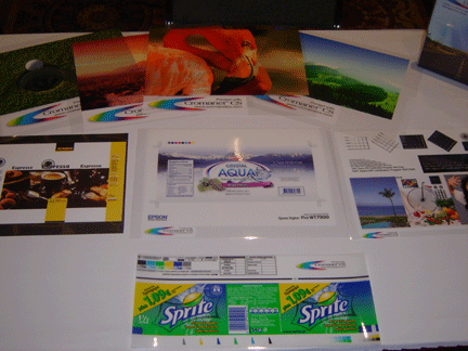 INFO*FLEX 2010